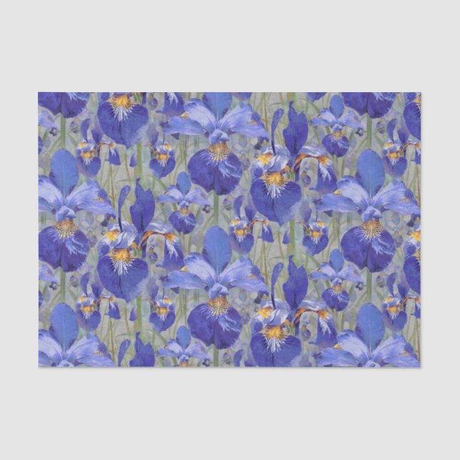 Papier Mousseline Flore bleue d'Iris (Recto)
