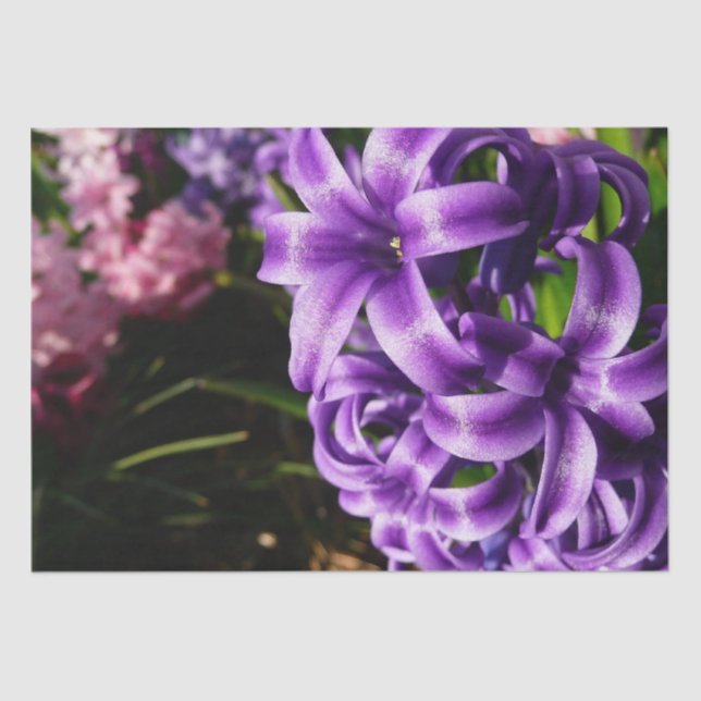 Papier Mousseline Flore de printemps Blue Hyacinth II (Recto)