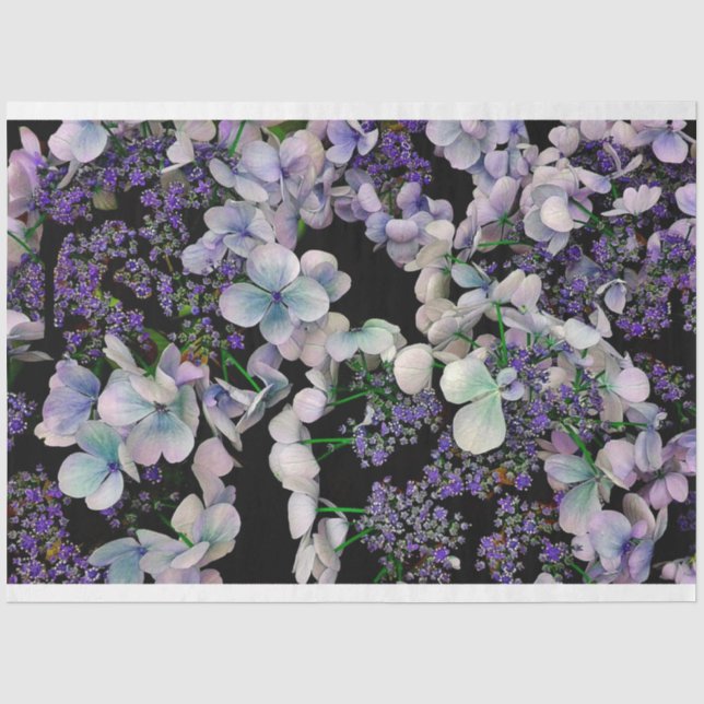 Papier Mousseline Flores violettes sur le tissu arrière - plan noir (Recto)