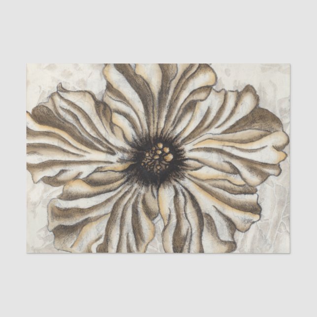 Papier Mousseline Flowerhead Fresco sur Tan Arrière - plan (Recto)