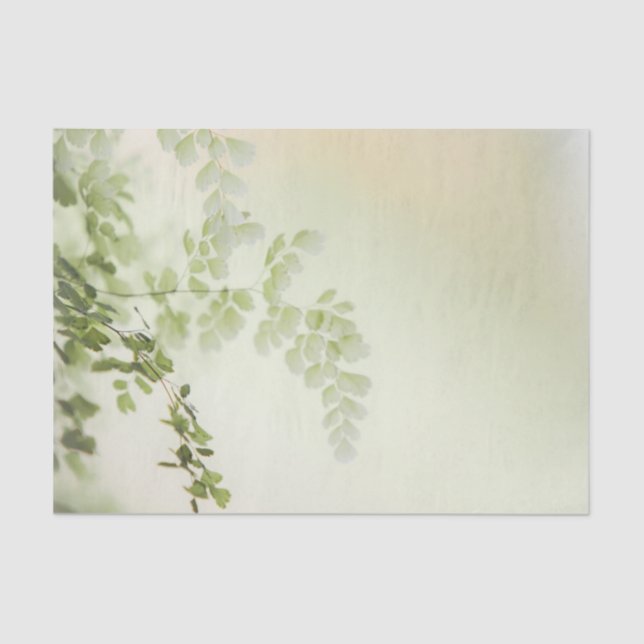 Papier Mousseline Foliage de printemps (Recto)