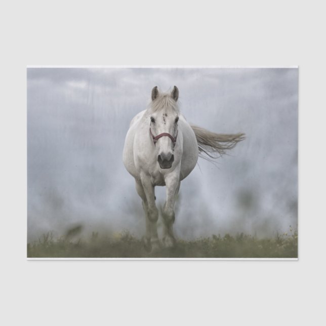 Papier Mousseline Fonctionnement de cheval blanc (Recto)
