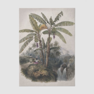 Papier Mousseline Forêt de bananiers tropicaux antiques Bota vinta