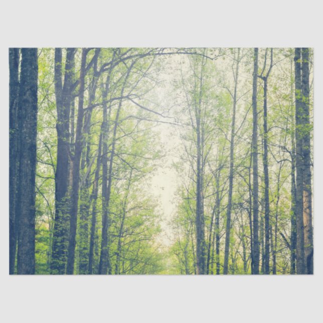 Papier Mousseline Forêt mystique (Recto)