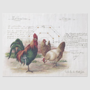 Papier Mousseline Français Script Hen Chicken Farmhouse Decoupage