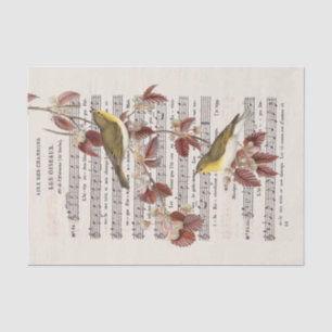 Papier Mousseline French Vintage Sheet Music Wren Bird Decoupage