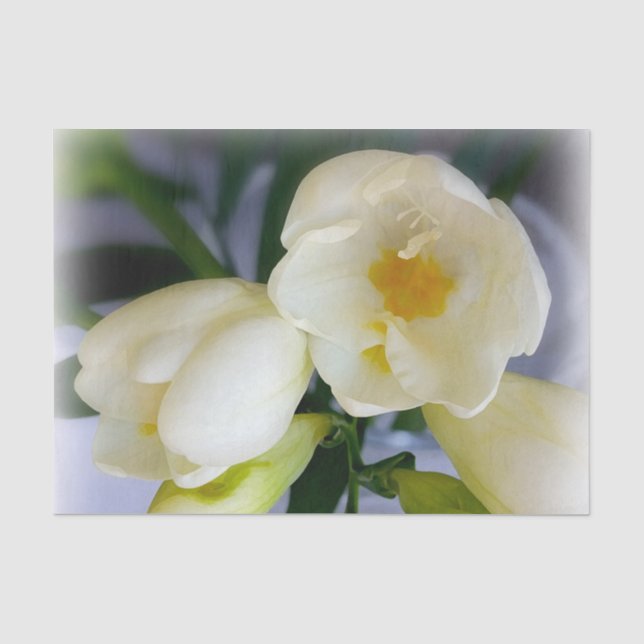 Papier Mousseline frénésie jaune blanc (Recto)