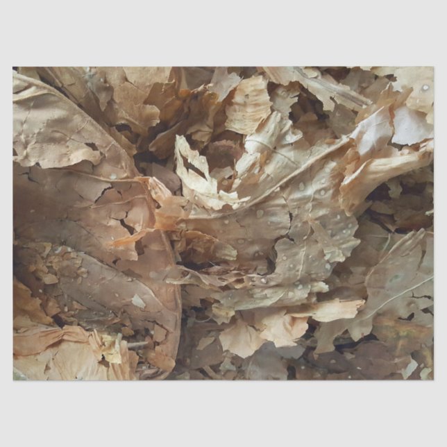 Papier Mousseline Fumeurs de cigares Texture feuille de tabac (Recto)