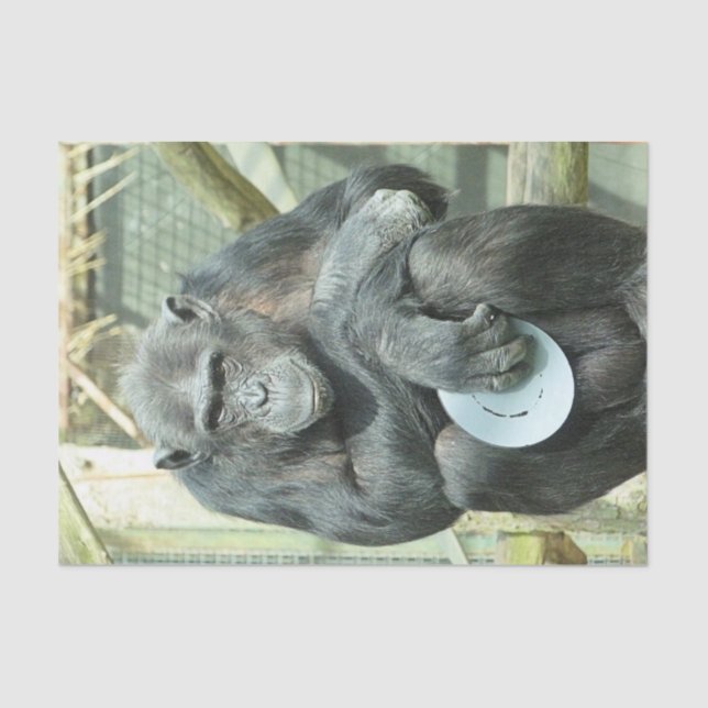 PAPIER MOUSSELINE FUNNY CHIMP (Recto)