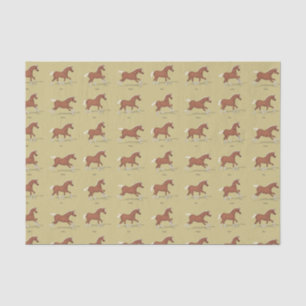 Papier Mousseline Gaits of the Horse Walk Trot Canter Gallop Sorrel