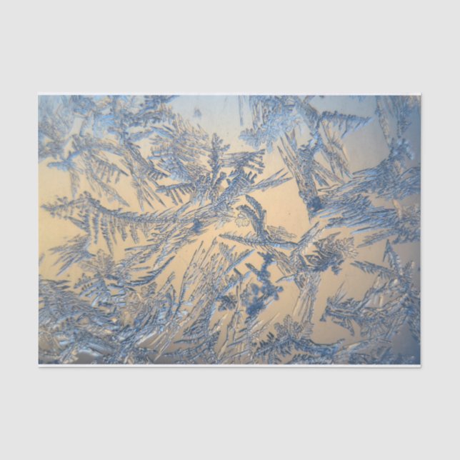 Papier Mousseline Gel d'hiver (Recto)