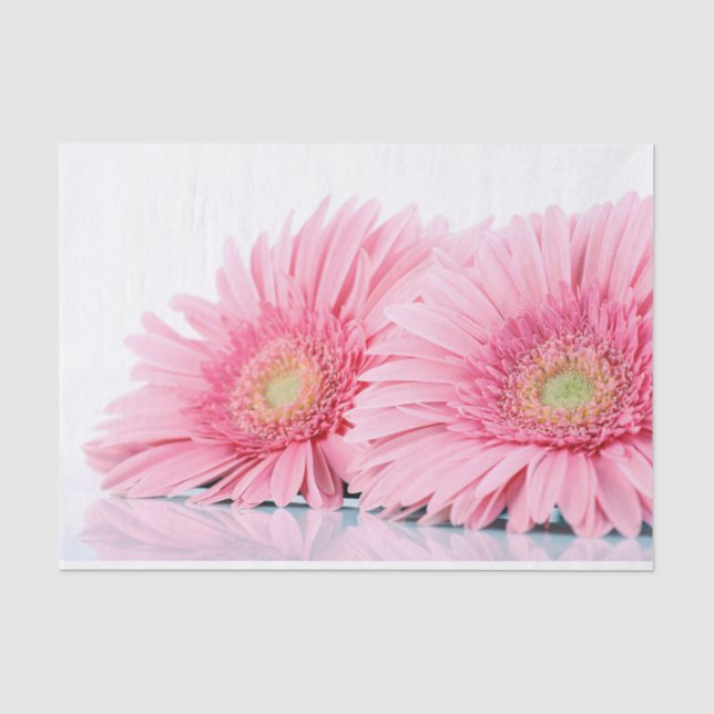 Papier Mousseline Gerbera Rose Daisies Élégante Photographie (Recto)