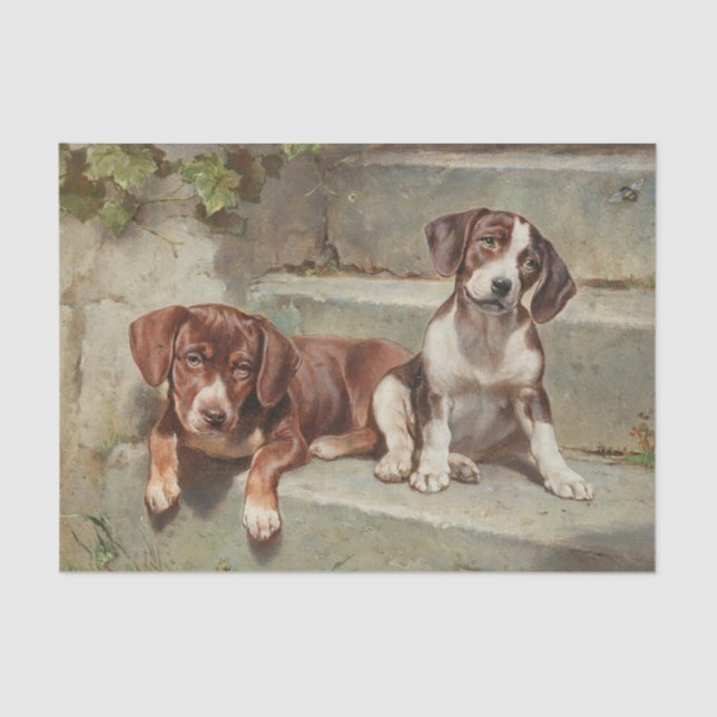 Papier Mousseline Gestorte Siesta par Carl Reichert (Recto)