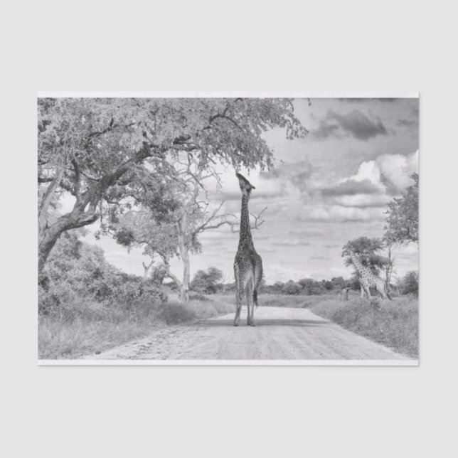 Papier Mousseline Girafe sur la route (Recto)