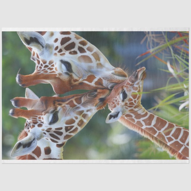 Papier Mousseline Giraffe Art numérique famille découpage (Recto)