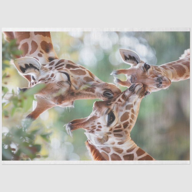 Papier Mousseline Giraffe papa maman Baby Decoupage (Recto)