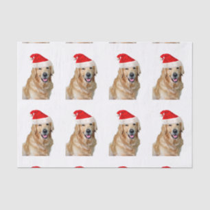 Papier Mousseline Golden Retriever