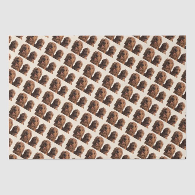 Papier Mousseline Goldendoodle Brothers (Recto)