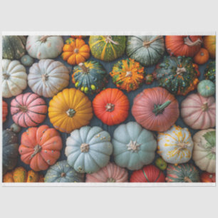 Papier Mousseline Gourdes Citrouilles colorées et découpage de squas
