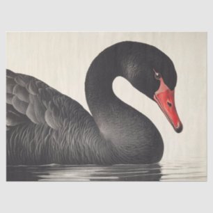 Papier Mousseline Gracity Black Swan en Ornithologie Style Découpage