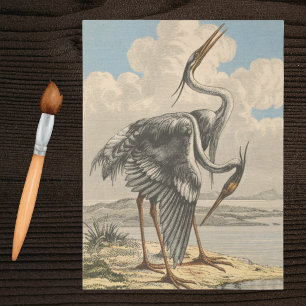 Papier Mousseline Grand Héron Bleu Vintage Dramatique Ornithologie O