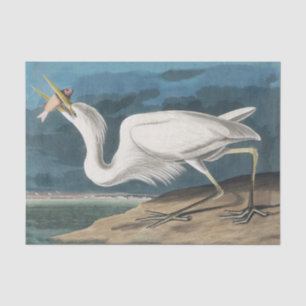 Papier Mousseline Grande Aigrette d'Audubon : Oiseau côtier vintage