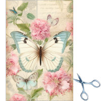 Grands papillons sarcelle et crème avec d'énormes
