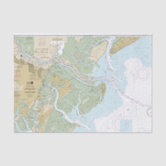 Papier Mousseline Graphique sonore de Savannah River et Wassaw Versi