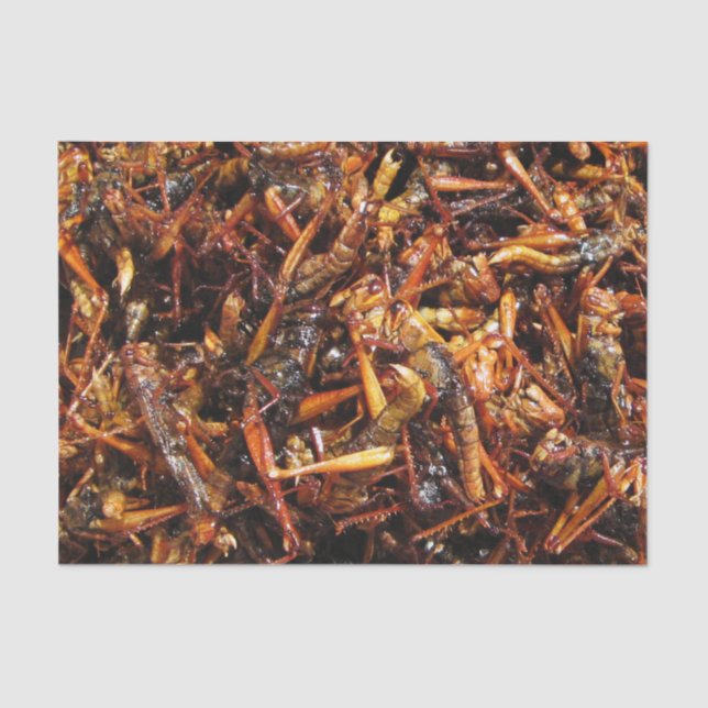 Papier Mousseline Grasshopper frit (Takkataen Thot) Alimentation asi (Recto)
