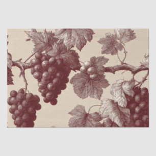 Papier Mousseline Gravure ancienne de raisins de vignoble