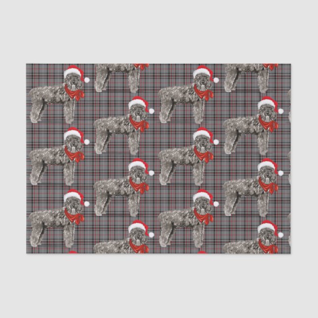 Papier Mousseline Grey Plaid et Noël Bouvier Amoureux des chiens Hol (Recto)