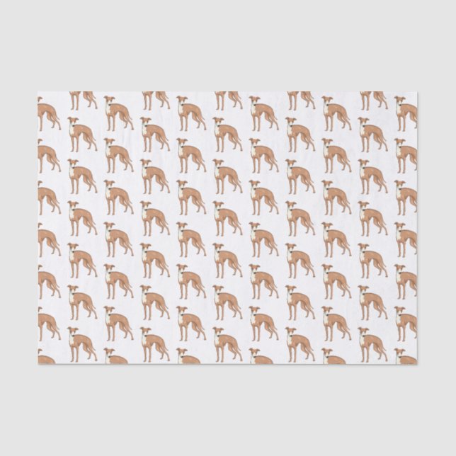 Papier Mousseline Greyhound dog (Recto)