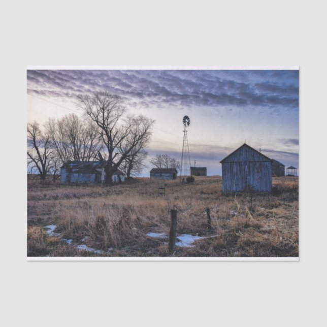 Papier Mousseline Gris abattu dans un champ d'herbe Brown (Recto)