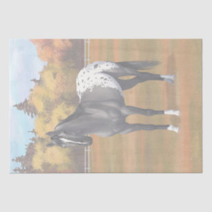 Papier Mousseline Gris Grulla Appaloosa Quartier Horse Stallion