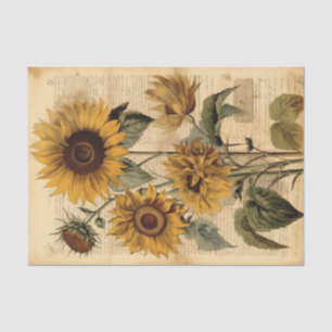 Papier Mousseline Gros, Joyeux tournesols Vintages sur script