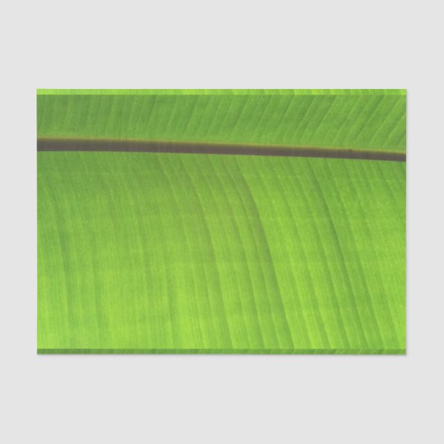 Papier Mousseline Gros plan de la feuille de banane (Recto)
