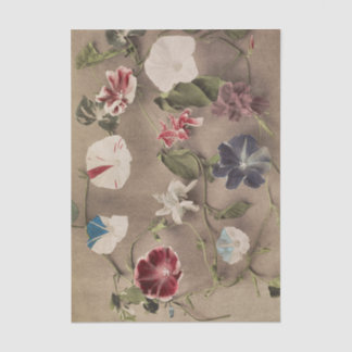 Papier Mousseline Group of Morning Glories by Ogawa Kazumasa