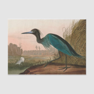 Papier Mousseline Grue bleue ou Heron Birds of America Audubon Impri