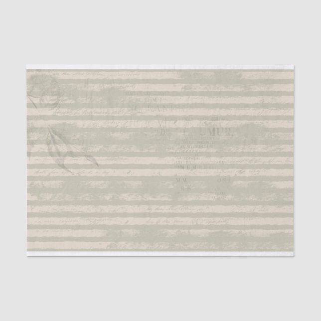 Papier Mousseline Grunge rayé Livre vert et ivoire (Recto)