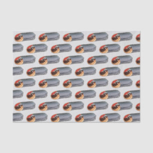 Papier Mousseline Gyro Gita Viande Sandwich Méditerranéen