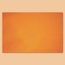 Halloween Coquille du Punkin