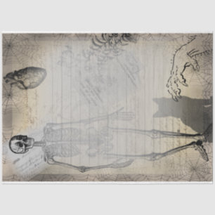 Papier Mousseline Halloween squelette et chat noir Ephémère Vintage