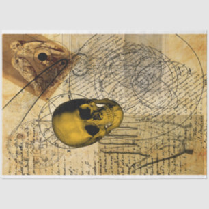 Papier Mousseline Halloween Witchcraft Alchimie Vintage Ephemera