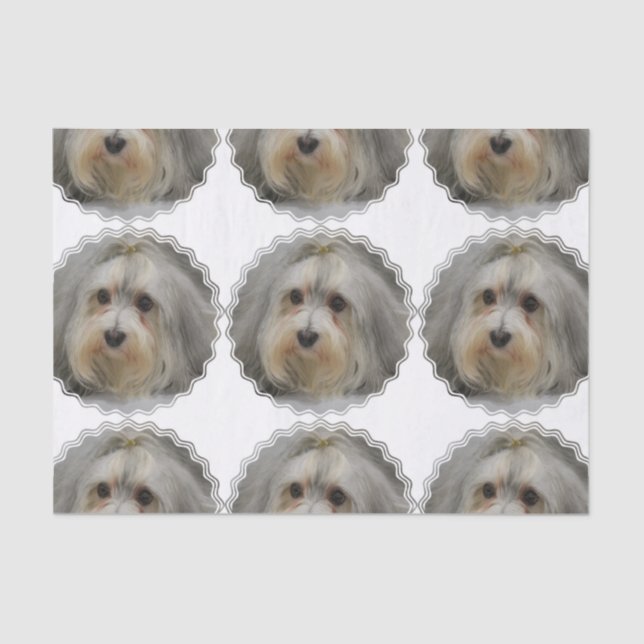 Papier Mousseline Havanese (Recto)