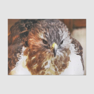 PAPIER MOUSSELINE HAWK