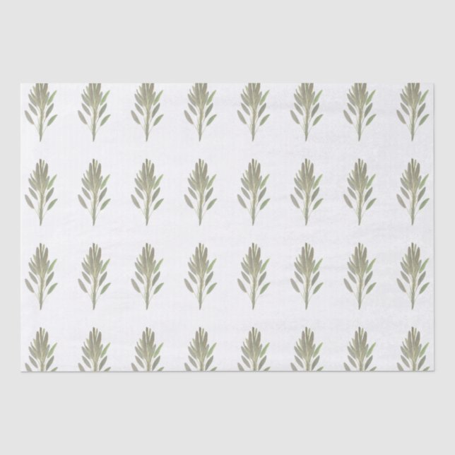 Papier Mousseline Herbe de Sage plante verdure végétale Aquarelle (Recto)