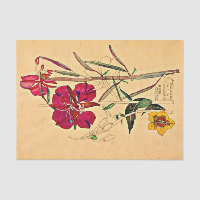 Papier Mousseline Herbe de saule par Charles Mackintosh (Recto)