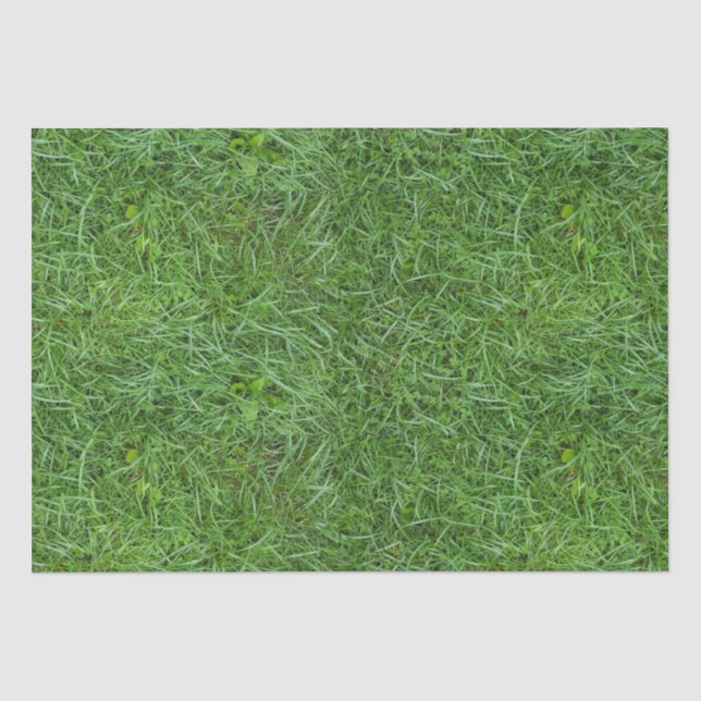 Papier Mousseline Herbe verte (Recto)