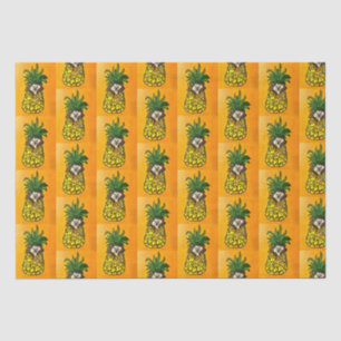 Papier Mousseline Hérisson et papier de tissus d'ananas