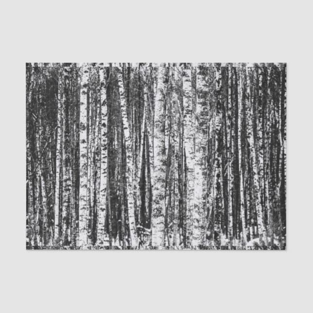 Papier Mousseline Hêtre, blanc et gris fusain / gris (Recto)